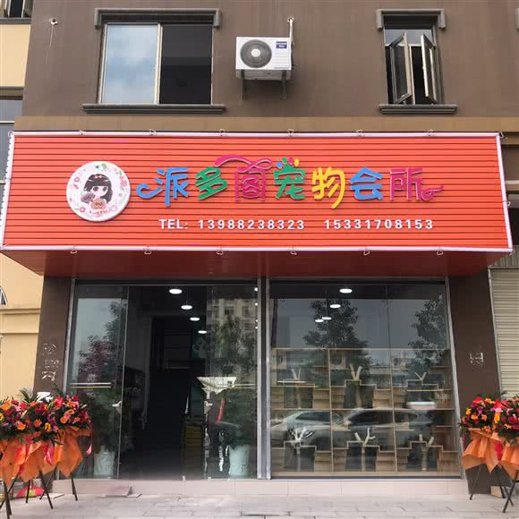 派多阁宠物:德宏傣族景颇族自治州瑞丽市