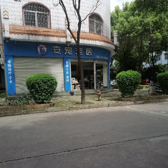 安宠宠医:德宏傣族景颇族自治州芒市