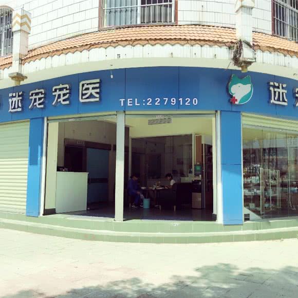 迷宠宠医:德宏傣族景颇族自治州芒市