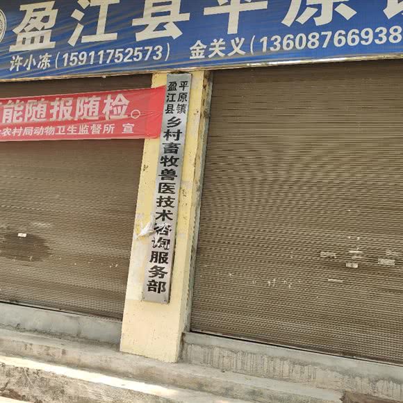 平原镇乡村畜牧兽医技术咨询服务部:德宏傣族景颇族自治州盈江县