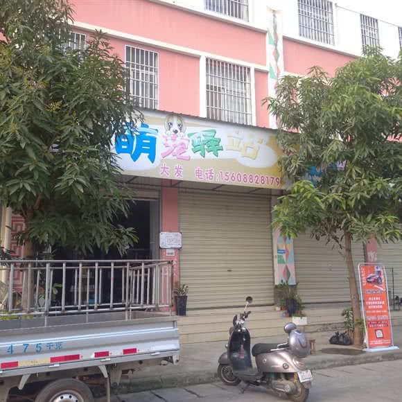 萌宠驿站宠物店:德宏傣族景颇族自治州陇川县