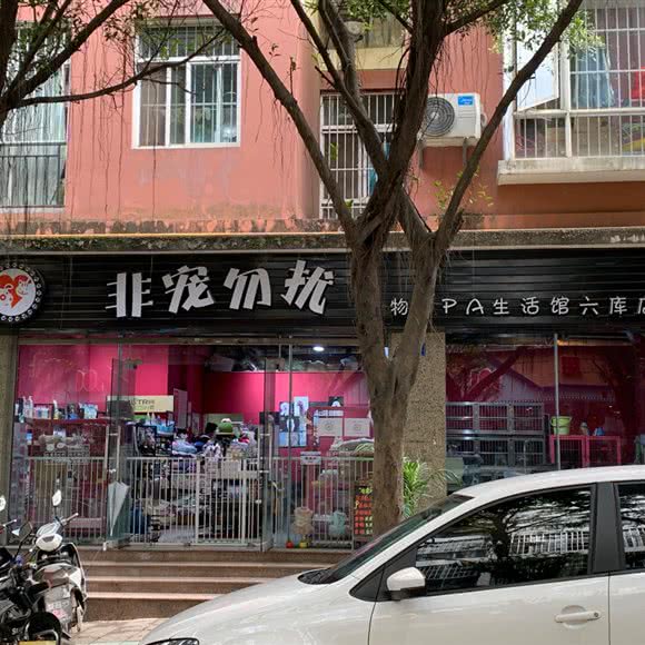 非宠勿扰(六库店):怒江傈僳族自治州泸水市