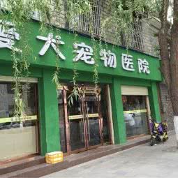 爱犬宠物医院:拉萨市城关区