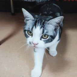 辰珞萌宠生活馆:西安市新城区