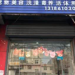 思雨宠物:西安市灞桥区