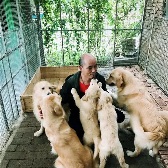 伊布宠物乐园:西安市灞桥区