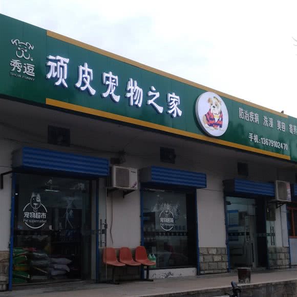 秀逗顽皮宠物之家:西安市未央区