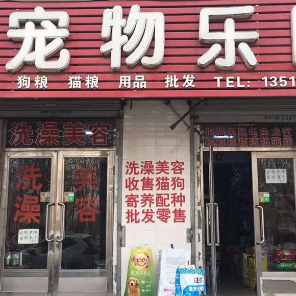 宠物乐园(勋业三路店):沈阳市铁西区劳动公园附近