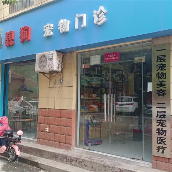靓狗宠物中心:西安市未央区
