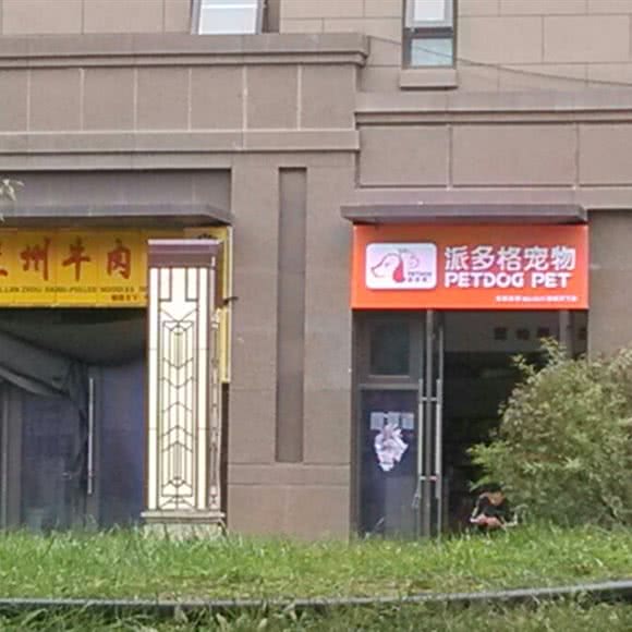 派多格宠物狗:西安市未央区