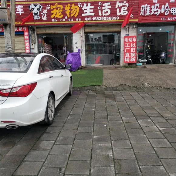 宠物生活馆:西安市高陵区
