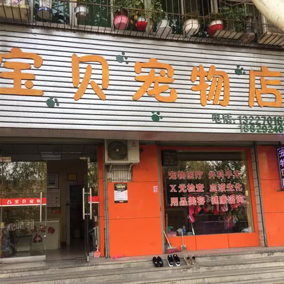 宝贝宠物店:西安市鄠邑区