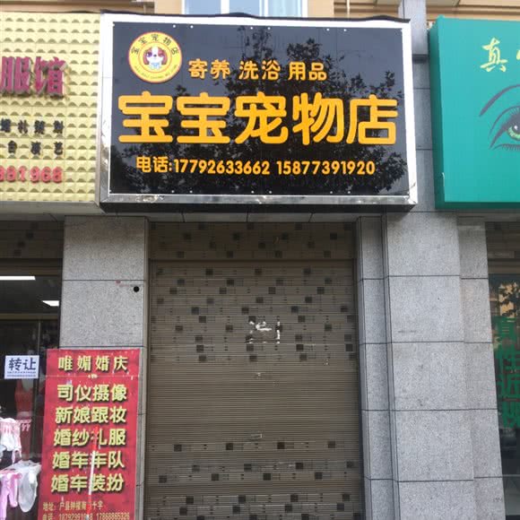 宝宝宠物店:西安市鄠邑区