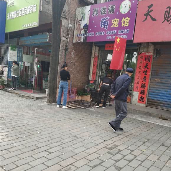 真性情萌宠馆:西安市鄠邑区