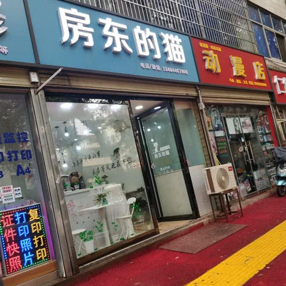 房东的猫:西安市蓝田县