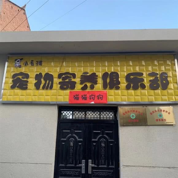 小毛孩宠物寄养俱乐部:西安市蓝田县