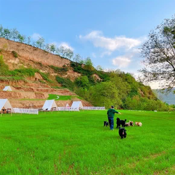 赛文宠物公园:宝鸡市金台区