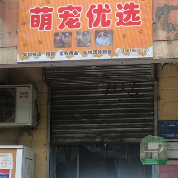 萌宠优选:宝鸡市金台区