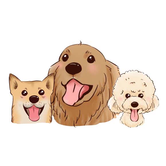 泡芙家宠物店:沈阳市铁西区财富广场附近