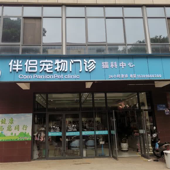 伴侣宠物医院(曙光路店):宝鸡市金台区