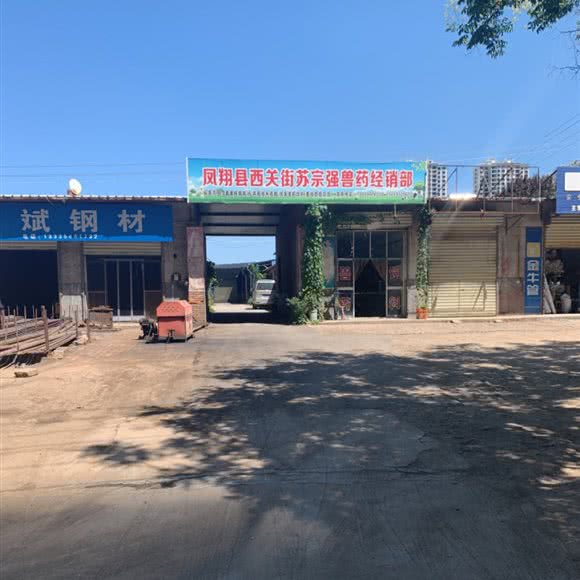 南城动物医院:宝鸡市凤翔区