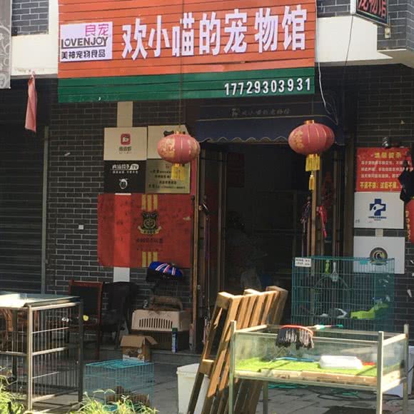 欢小喵的宠物馆:宝鸡市岐山县