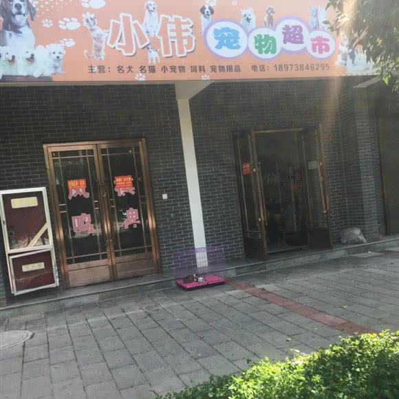 小伟宠物超市:宝鸡市岐山县