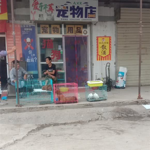 爱轩苒宠物店:咸阳市秦都区