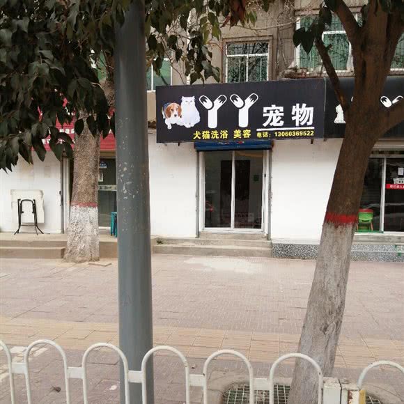 丫丫宠物:咸阳市秦都区
