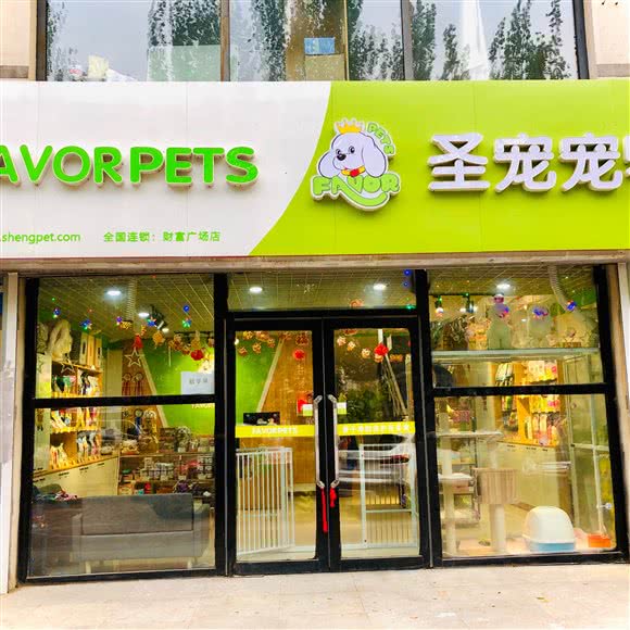 圣宠狗狗:沈阳市铁西区财富广场附近