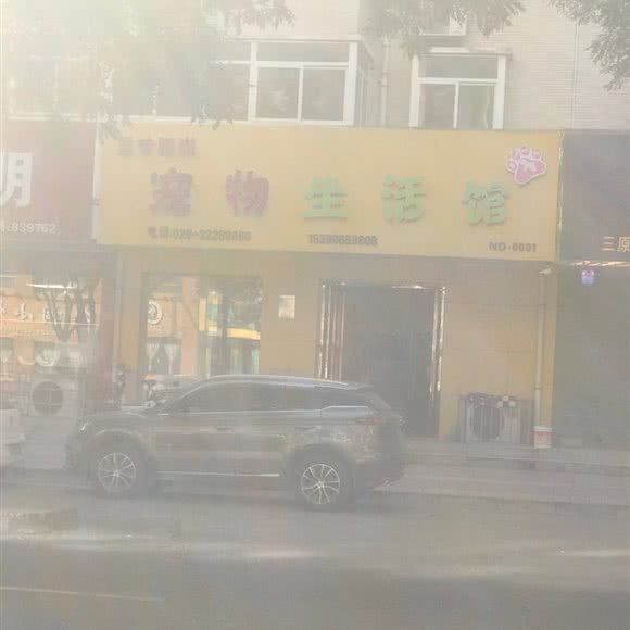 三寸阳光宠物生活馆(三原店):咸阳市三原县