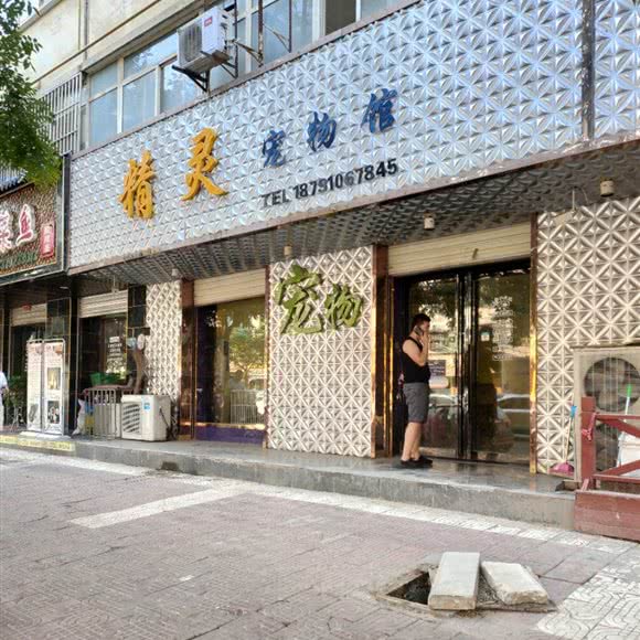 精灵宠物馆:咸阳市三原县