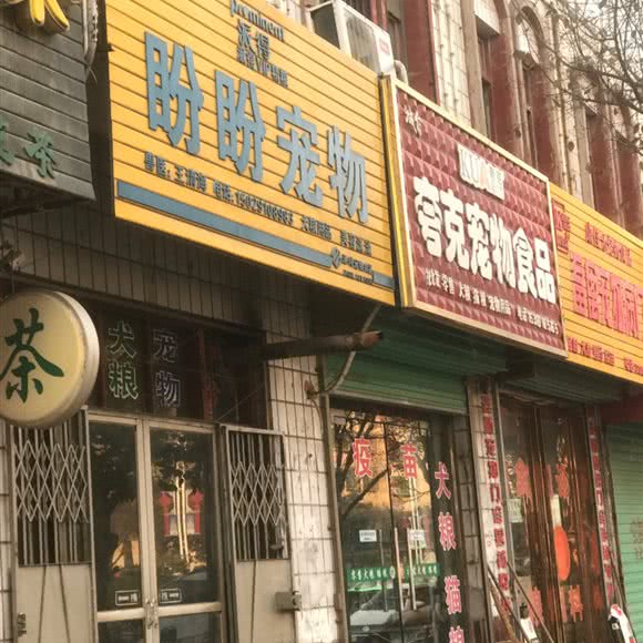 派得盼盼宠物:咸阳市三原县