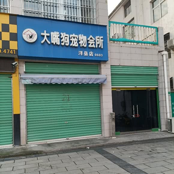 大嘴狗宠物会所(洋县店):汉中市洋县