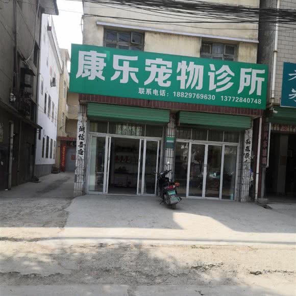 康乐宠物诊所:汉中市洋县