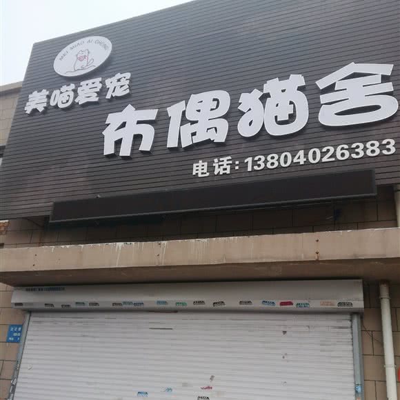 美喵爱宠·玩偶猫舍:沈阳市铁西区财富广场附近