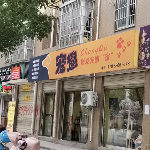 宠趣:汉中市勉县