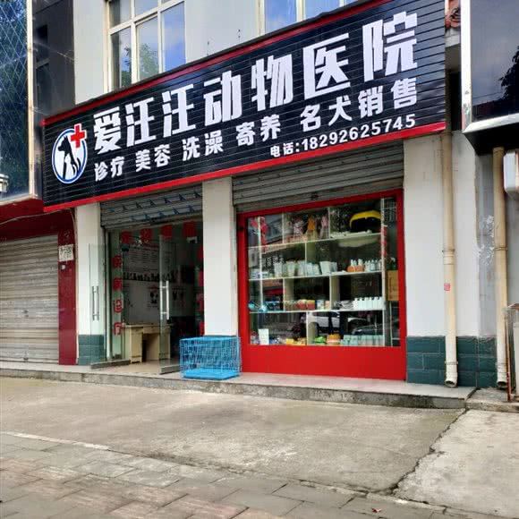 爱汪汪动物医院:汉中市勉县