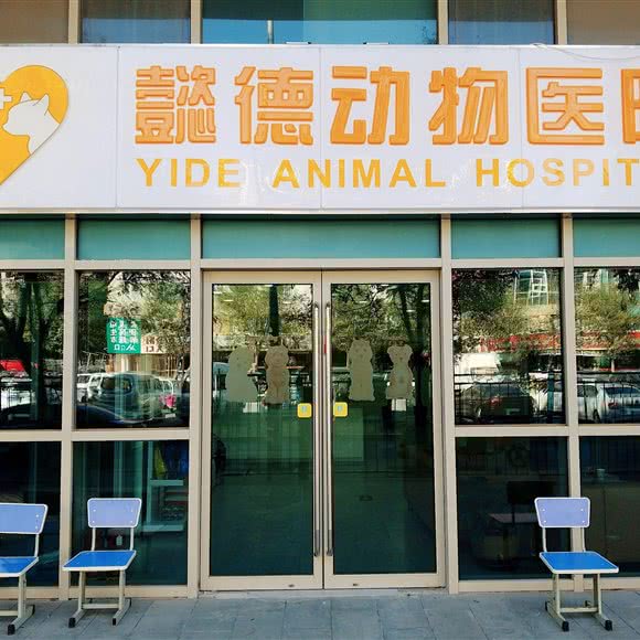 懿德动物医院:北京城区朝阳区定福庄附近