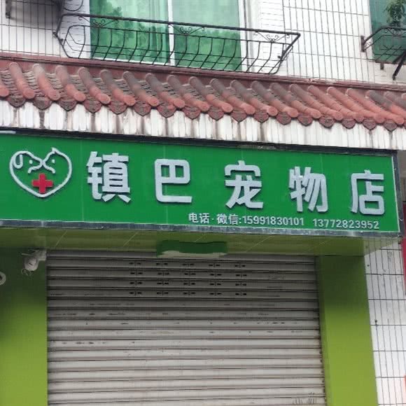 镇巴宠物店:汉中市镇巴县