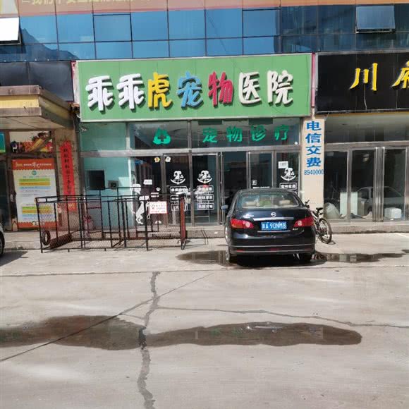 乖乖虎宠物医院:榆林市府谷县