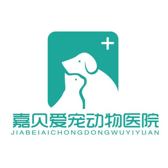 嘉贝爱宠动物医院:沈阳市铁西区财富广场附近