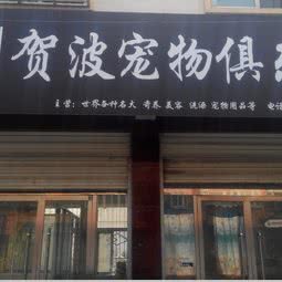 贺波宠物会所(绥德店):榆林市绥德县