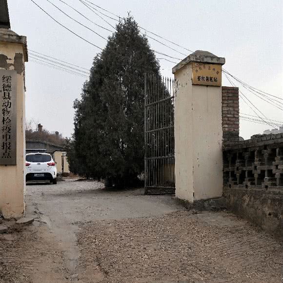 绥德县名州镇畜牧兽医站:榆林市绥德县