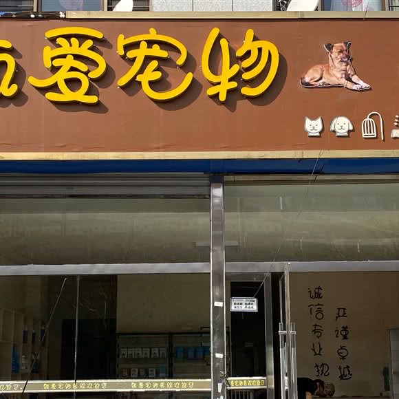 甄爱宠物:榆林市神木市