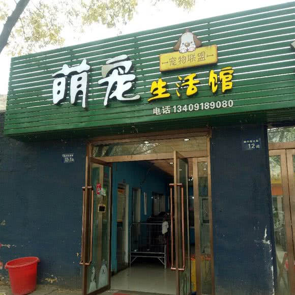 萌宠生活馆:榆林市神木市
