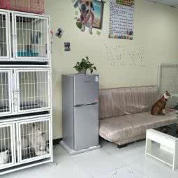 狗娃宠物:安康市汉滨区