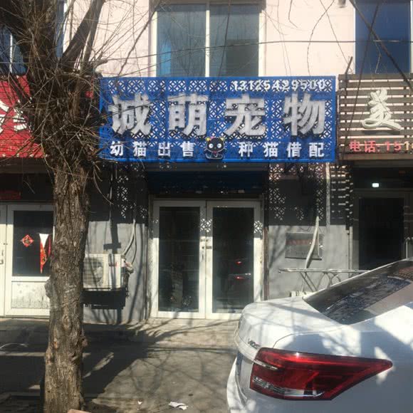 诚萌宠物:沈阳市铁西区工人文化宫附近