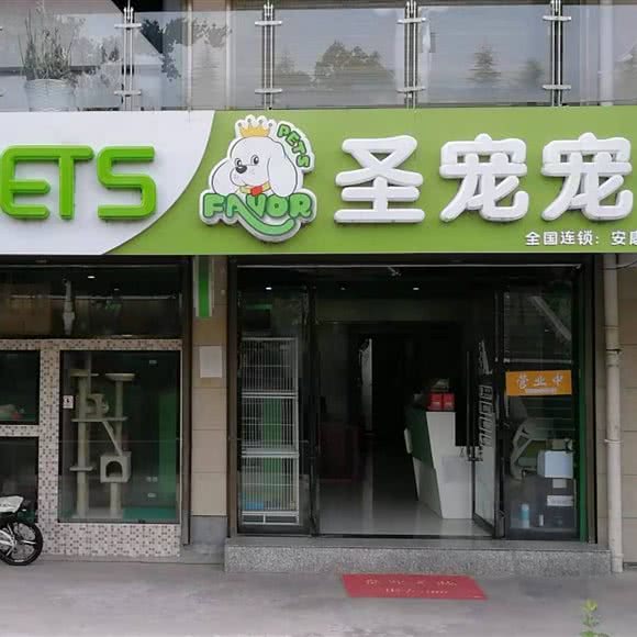 圣宠宠物(安康国际广场店):安康市汉滨区