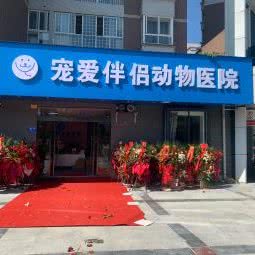 宠爱伴侣动物医院:安康市汉滨区
